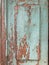 Old wooden door with shabby turquoise paint