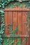 Old wooden door with small plants growing on