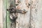 Old wooden doors with lock. Weathered texture background