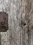 Old wooden doors with rings