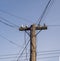 Old wooden electrical utility pole