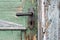 Old wooden entrance door with antique door handle