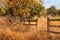 Old Wooden Farm Fence