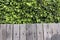 Old wooden fence with green tree walls.