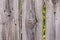 Old wooden fence grey color