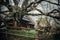 Old wooden fence near apple tree in russian village, rustic fence on pagan slavic settlement, national park architecture, tourism