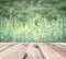 Old wooden floor in front of blur vintage nature background