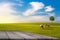 Old wooden floor beside green field on slope, tree and two horse with blue sky and clouds background