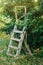 Old wooden folding ladder. Stairs for fruit collection. The concept of a rural garden, very decorative gardening. Cozy garden with