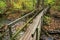 Old Wooden Foot Bridge