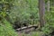 An old wooden footlog crosses a small creek.