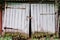 Old wooden garage doors. Covered with moss. Broken. Closed on hi