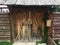 Old wooden gate in the house which is in a rural location