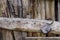 Old wooden gate, padlock and knives