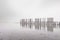 Old wooden groyne on a coastline with heavy dense fog