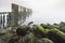 Old wooden groyne on a coastline with heavy dense fog