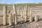 Old wooden groynes