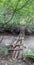 Old wooden hand-made bridge over a rugged mountain river deep in the forest