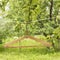 Old wooden a hanger hangs a on the rope in the garden