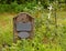 Old wooden headstone in a graveyard