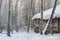 An old wooden house in a birch snow-covered forest in winter