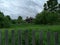 Old wooden house on the edge of the village