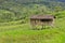 Old wooden house in field in Andes