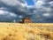 Old wooden house and golden grass, Oliver, British Columbia, Canada