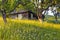 An old wooden house. Majestic spring sunny landscape. Garden with fruit trees, flowers, forest. Eco resort, relax for tourists.