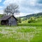 Old wooden house in meadow. Rural landscape.