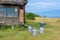 Old wooden house near Lake Baikal with milk cans and wheelbarrow on grass. The door is open.