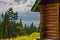 Old wooden hut cabin in mountain alps at rural summer landscape. Cozy wooden cabin in a forest