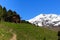 Old wooden hut, hiking path and Mountain Palon de la Mare panorama in Ortler Alps