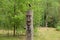 An old wooden idol carved from a thick tree trunk in a clearing in the forest