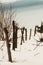 Old wooden livestock fence in the winter landscape