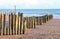 Old wooden logs used as groynes at Dawlish Warren run down to the sea