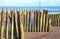 Old wooden logs used as groynes at Dawlish Warren run down to the sea