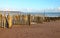 Old wooden logs used as groynes at Dawlish Warren run down to the sea