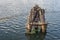 Old wooden mooring bollard in water with steel ropes