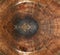 Old wooden oak tree cut surface. Brown Rough organic texture of tree rings