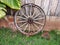 Old wooden ox cart wheel of a farm shed