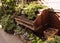 Old wooden piano on the street covered with ivy, violets and flowerpots