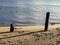 Old wooden piles on sandy river beach