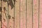 Old wooden plank background. Peeling, faded pink paint on old boards with the shadow of tree branches. Copying space