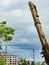 Old wooden pole in a modern city. City renewal. Demolition of the old and construction of the new