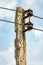 The old wooden pole with wires power line