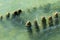 Old wooden posts overgrown seaweed. Broken wooden pier remains in sea. Beautiful water color under sunlight. Tide and sea spray