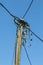 Old wooden powerline, isolated on blue sky