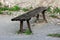 Old wooden public bench with strong rusted metal supports mounted on paved edge of abandoned parking place surrounded with rocks