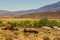 Old, wooden resort buildings next to hot springs, Benton, California, USA